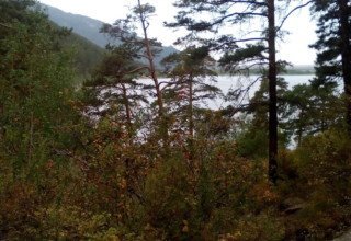 Боровое, Большое Чебачье озеро