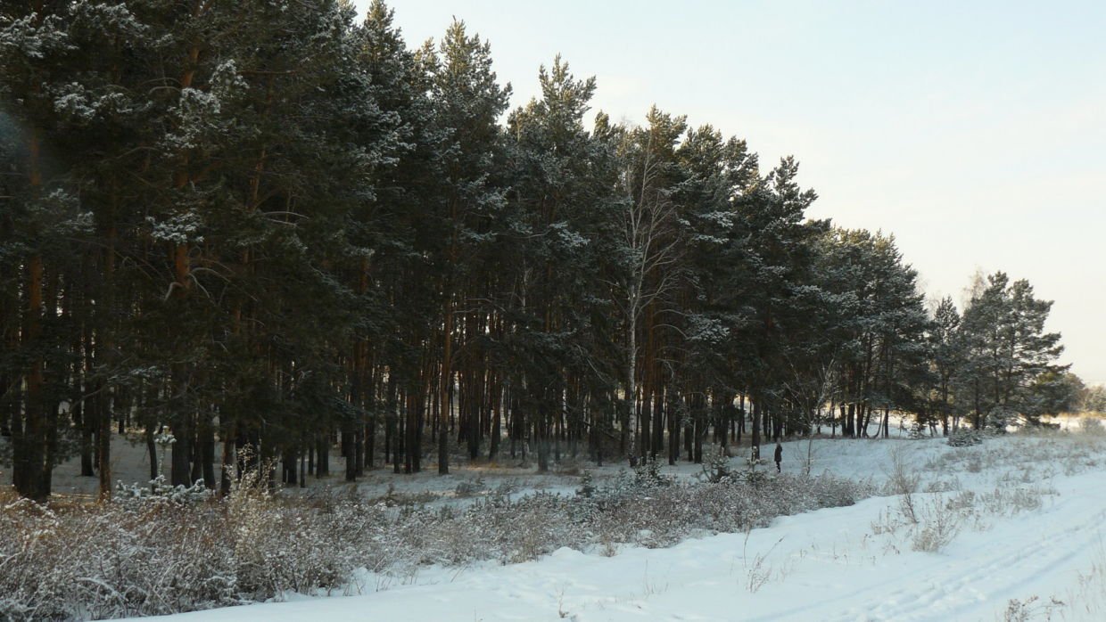 Окрестности Кокшетау, январь 2012