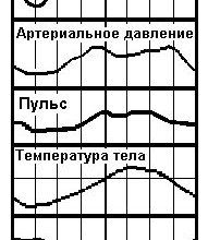 Биологические ритмы человека