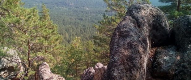 боровое синюха
