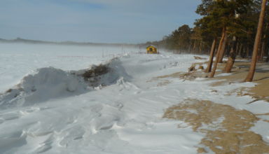 боровое зимой
