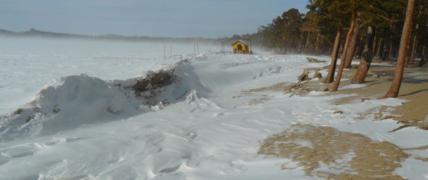 боровое зимой