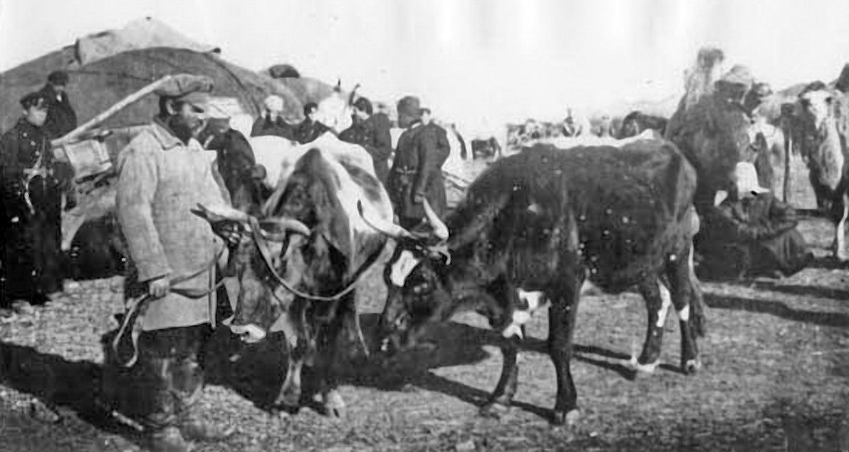 Ярмарка 1900
