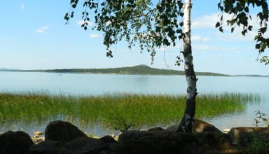 зеренда летом
