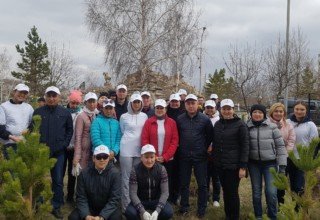 90 тысяч новых деревьев