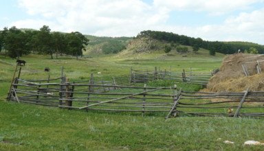 Айдарлы(Заборовка) - Кокшкарбай-P1230684