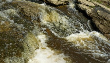 Байтерек - Красный кордон