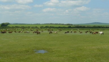 Кеноткель - Троицкое