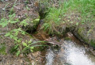 Боровое, Синюха, родники и водопады
