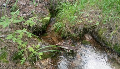 Боровое, Синюха, родники и водопады