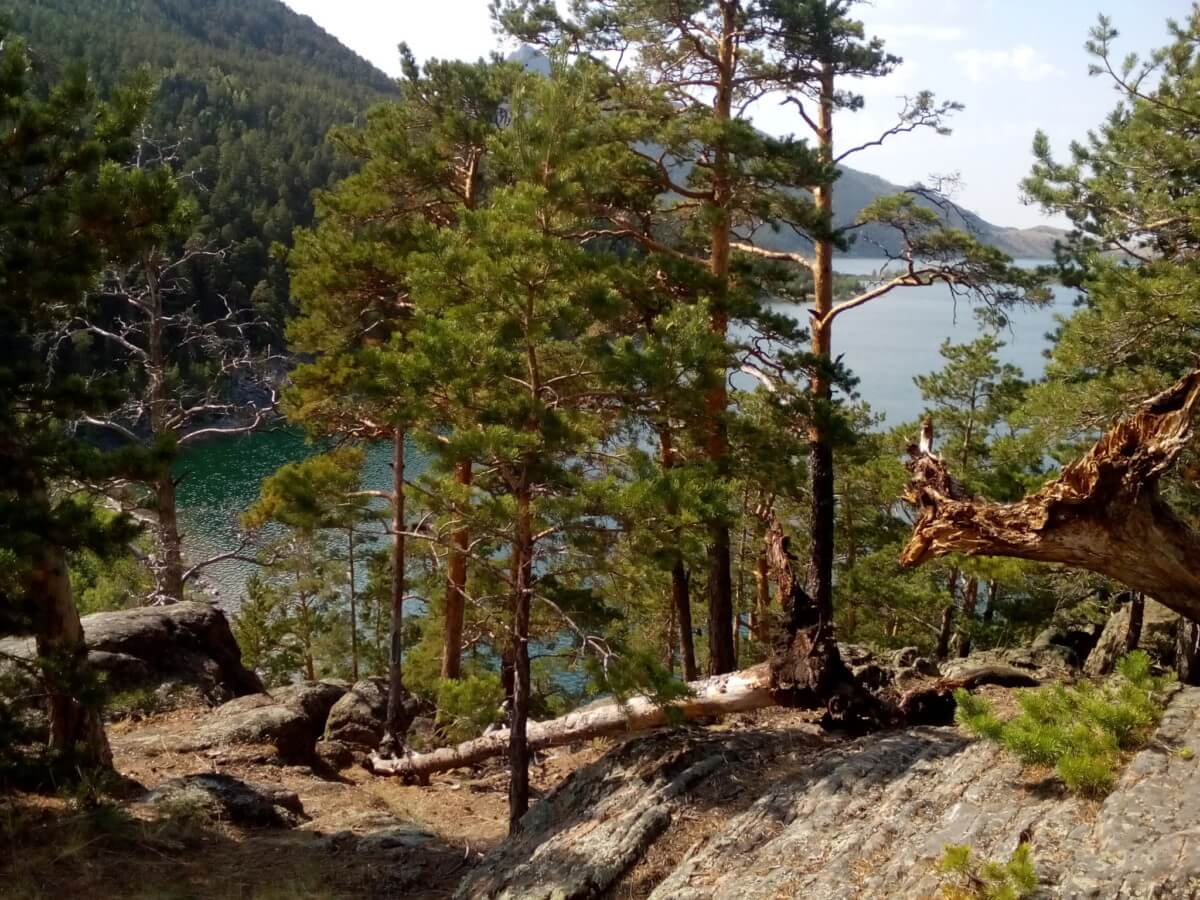 Большое Чебачье озеро. Фото Кокшетау Онлайн