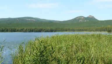 Несколько фотографий озера Светлое и вокруг него