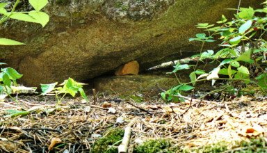 Горы и скалы. Кто подложил камешек? И как?