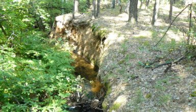 Первая попытка добраться до истоков Иманаевского ручья в Боровом