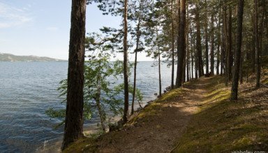 БОРОВОЕ И ВЕЛОСИПЕД. ОТЧЕТ О НЕБОЛЬШОМ ВЕЛОТРИПЕ ВОКРУГ ОЗЕРА