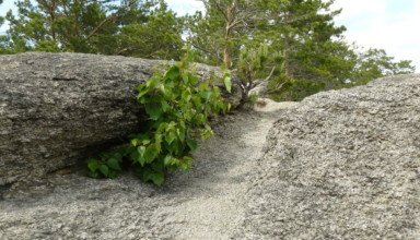 Боровое, Синюха, горы и скалы