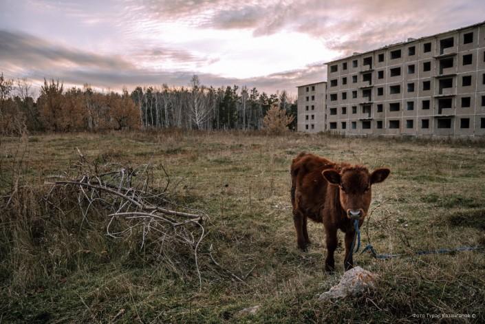 Здесь будет курорт. Катарколь. Фото - tengrinews.kz