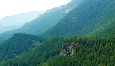 Боровое. Синюха. Горы в лесах. Июль 2018. Фото Кокшетау Онлайн