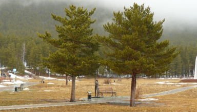 Боровое. Март 2019. Поляна Абылай-хана. Ждун