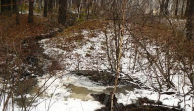 BurabayLand, Rixos. Территория и природа вокруг