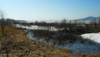 Щучинский санаторий апрель 2019