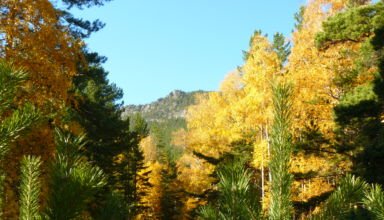 Осень в Боровом. Лес, Синюха, ручей, закат на Голубом заливе.