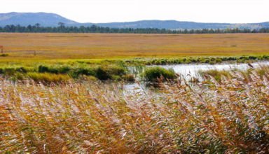 Фотозарисовка вокруг Зерендинского озера
