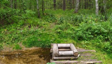 Зеренда ГНПП