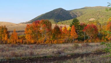 Огромная панорама из 6 кадров крохотного прудика на въезде в курортную зону Борового