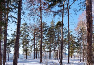 Октябрь - предвестник зимы. Боровое. Кокшетау Онлайн. Фотозарисовки с берега Боровского озера после сильнейшего снегопада и первых морозов.