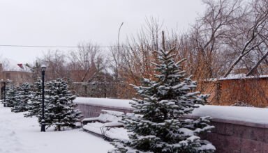 Картинки из тихого Борового. Относительно тепло, лёгкий ветер. Район пляжа, озеро, ёлочки, засыпанные свежим снегом, музей природы. 2 января 2023.