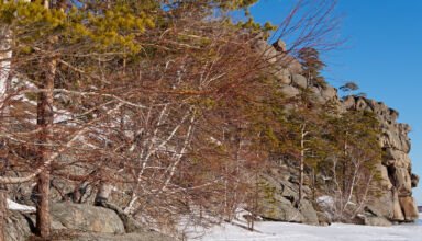 Еще подборка открыток с замёрзшего боровского озера Аулиеколь. Скалы Болектау, Жумбактас (Сфинкс), "Максим Горький", Окжетпес, гора Кокшетау (Синюха), "Три сестры" и другие. Много ракурсов в коллекцию. 17 января 2023.