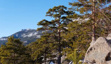 Замечательные виды с мыса "Максим Горький". Белый снег, голубой лёд, сосны, горы и скалы. Много ракурсов в коллекцию. 17 января 2023.