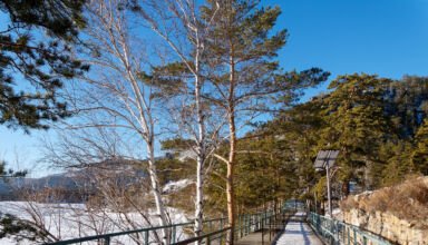 Зимнее Боровское озеро, берега, лес, скалы, велодорожка возле отеля "Байтас". 20 января 2023.