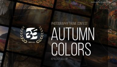 Дипломы с фотоконкурса "Краски осени" на 35awards и фотографии, которые участвовали в этом конкурсе.
