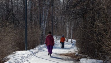 Картинки из окрестностей посёлка Окжетпес в Боровом. Лес готовится проснуться после зимы, птички, рыбаки на Боровском озере Аулиеколь. Тихо, солнечно, тепло. 24 марта 2023