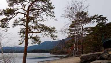 Небольшая прогулка по берегу озера. Пешеходные и велодорожки, начинающий таять лёд, просыпающиеся деревья. Тихо, относительно тепло, пасмурно. Как всегда много ракурсов в коллекцию. 22 апреля 2023.