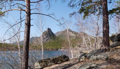 Прогулка по берегу Голубого залива. Окжетпес, Жумбактас (Сфинкс), Кокшетау (Синюха), горы и скалы, просыпающиеся деревья, птицы, первые цветы. Много ракурсов в коллекцию. 27 апреля 2023.