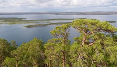 Красотища! Виды на Боровское и Большое Чебачье озеро, гору Кокшетау (Синюха), Окжетпес, Жаке батыр (Спящий рыцарь), строящийся курорт Акбура. Много ракурсов в коллекцию и для панорам. 15 августа 2023.