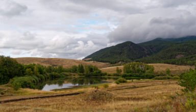 Предосенняя дорога в Боровое, любимый крохотный прудик на повороте у дороги. Свежо, пасмурно. 26 августа 2023.