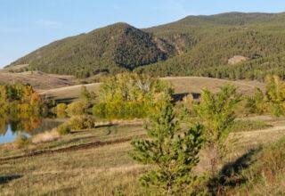 Кадры для панорам золотого леса и прудика в Боровом. Много ракурсов коллекцию. 3 октября 2023.