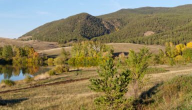 Кадры для панорам золотого леса и прудика в Боровом. Много ракурсов коллекцию. 3 октября 2023.