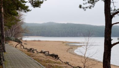 Пасмурный осенний день, хмурый лес, цветущий весёлый мох на всех деревьях и камнях, уже бурная речка Сарыбулак, похоже, что вода возвращается после нескольких сухих лет, крепкие цветочки, пережившие морозы, чайки на берегу, озеро и горы в седом тумане, ягоды и семена в коробочках до весны. 3 ноября 2023.