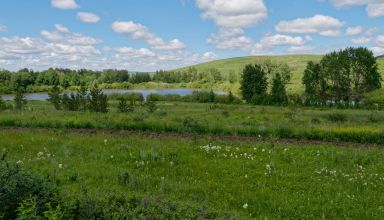 Фотозарисовки по дороге из Борового. Лес, ручьи, красивый крохотный прудик. 18 июня 2024.