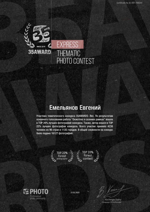 35awards_897_ru-
