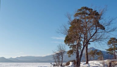 Небольшая прогулка по берегу Боровского озера, территория отеля Кокшебель, центр, гоп-стоп на въезде, памятник бойцам ВОВ. Много ракурсов в коллекцию. 11января 2025