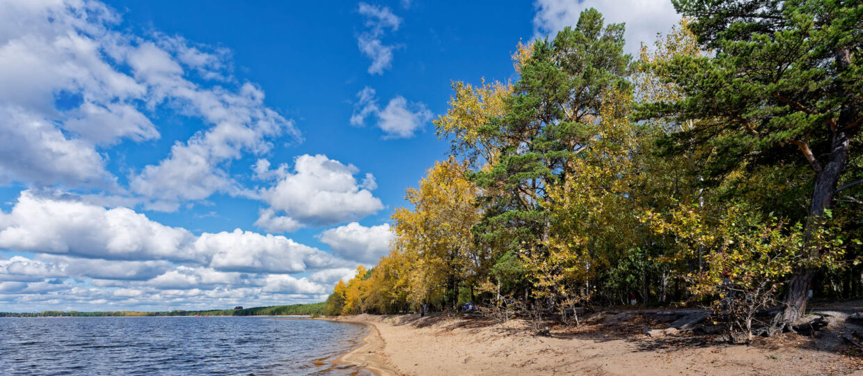 Неспешная прогулка по велодорожке и по берегу Боровского озера. Начинающий золотеть и осыпаться лес, грибы, легкая волна на озере, почти пустынный берег. Горы через озеро. Прохладно, солнечно. Очень много открыток в коллекцию. 14 сентября 2025.