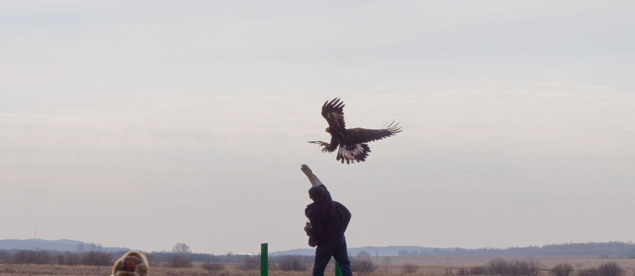 Кансонар Сандыктау 2025Вторая часть фоторепортажа с ежегодных международных соревнований мастеров охоты с ловчими птицами "Кансонар-2025" посвященных Дню Республики Казахстан и 140-летию легендарного беркутчи Масипа Батырханулы. Сандыктау, детский оздоровительный центр "Жас даурен". Первый день соревнований, портреты участников и зрителей. Хорошая погода, тепло для конца октября, лёгкий ветерок. 24 октября 2025.-10-24 13-47-00