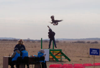 Кансонар Сандыктау 2025Вторая часть фоторепортажа с ежегодных международных соревнований мастеров охоты с ловчими птицами "Кансонар-2025" посвященных Дню Республики Казахстан и 140-летию легендарного беркутчи Масипа Батырханулы. Сандыктау, детский оздоровительный центр "Жас даурен". Первый день соревнований, портреты участников и зрителей. Хорошая погода, тепло для конца октября, лёгкий ветерок. 24 октября 2025.-10-24 13-47-00