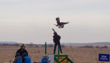 Кансонар Сандыктау 2025Вторая часть фоторепортажа с ежегодных международных соревнований мастеров охоты с ловчими птицами "Кансонар-2025" посвященных Дню Республики Казахстан и 140-летию легендарного беркутчи Масипа Батырханулы. Сандыктау, детский оздоровительный центр "Жас даурен". Первый день соревнований, портреты участников и зрителей. Хорошая погода, тепло для конца октября, лёгкий ветерок. 24 октября 2025.-10-24 13-47-00